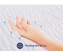 Nệm cao su thiên nhiên Liên Á  Classic Premium